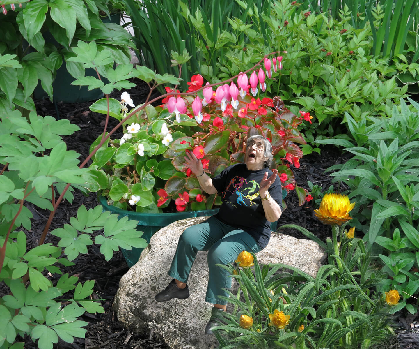 "I want to be tiny in my garden, sitting on the rocks," Robin Botie's friend in Ithaca, New York had told her. So she photoshopped her tiny, in her garden.