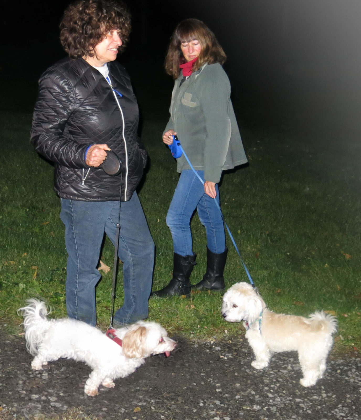 Robin Botie of Ithaca, New York, walking the dog at night.