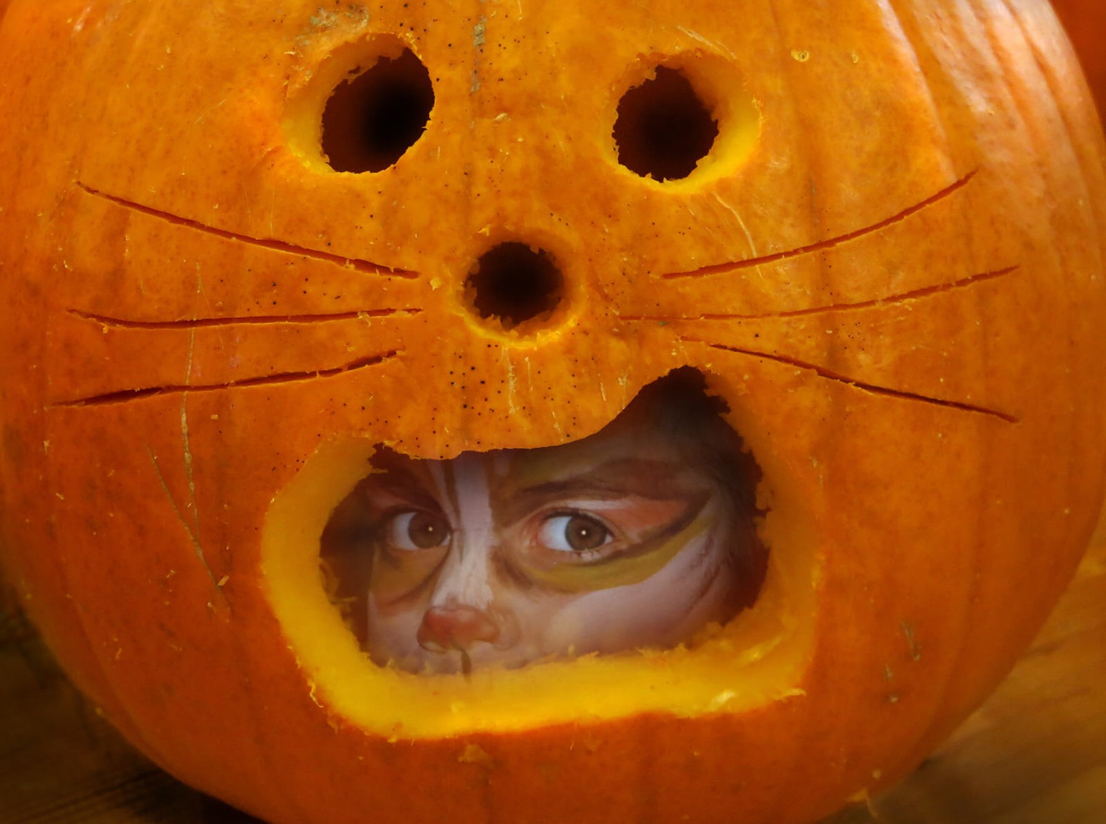 Robin Botie of Ithaca, New York, Photoshops her daughter's face painted as a cat, into the mouth of a carved pumpkin.