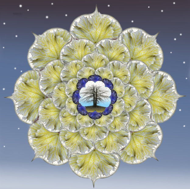 Making Mandalas for Healing | Finding Life After Loss