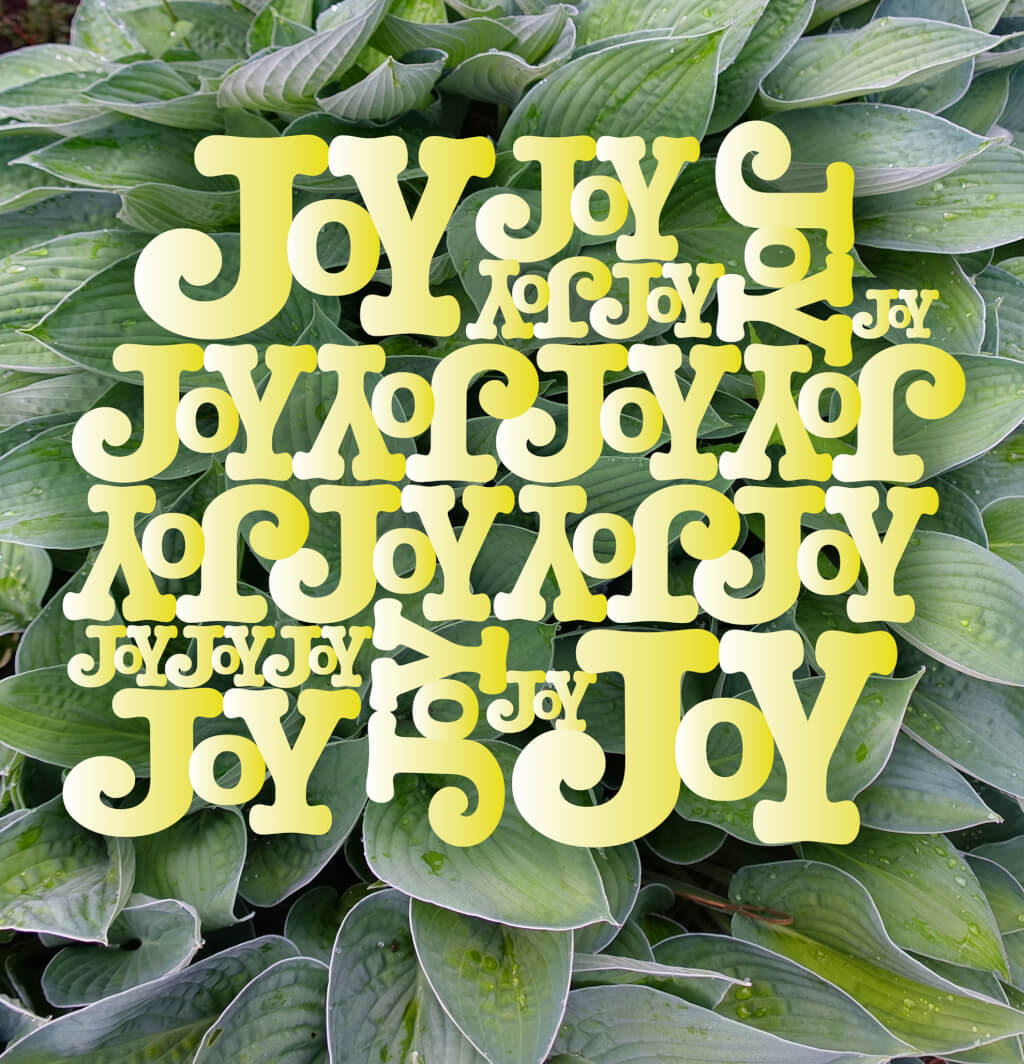 Robin Botie of Ithaca, New York photoshops hostas from her garden as a background for the words of joy she created in Adobe Illustrator.