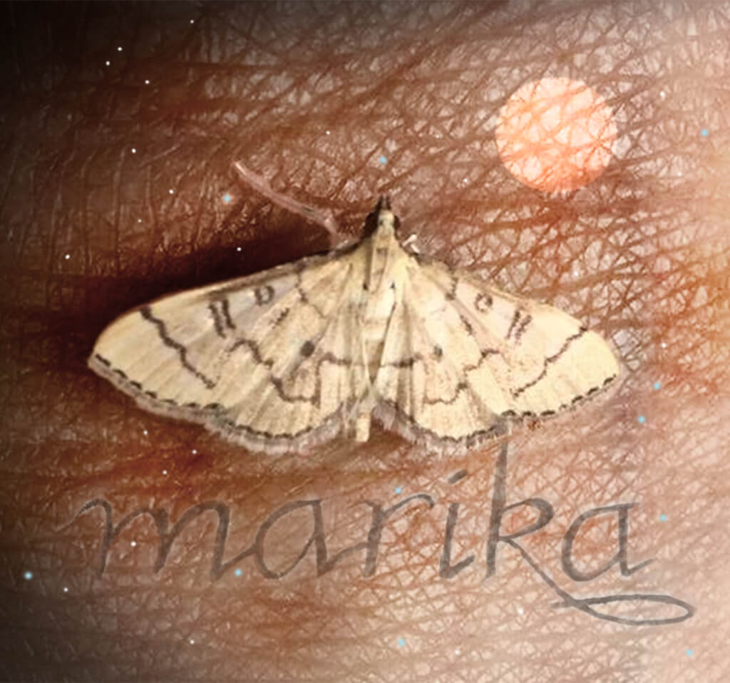 Robin Botie of Ithaca, New York, photoshops a picture of a small gold moth, perhaps a sign sent to her from her daughter who died, from the other side.