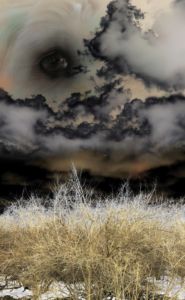 Robin Botie of Ithaca, New York, Photoshops her Havanese dog's eye in a landscape of fields and dark clouds.